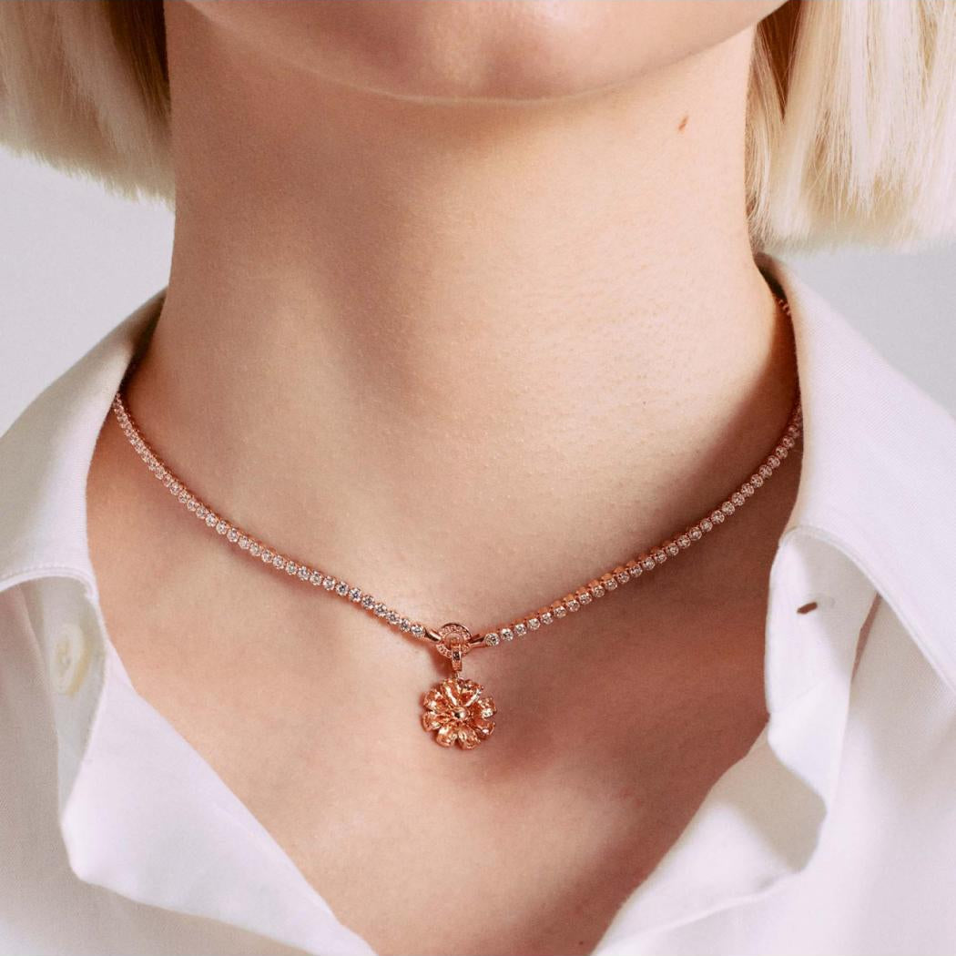 65203d69c9e3e.jpg?decache=65203d6bb957c