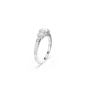 68938d412aa95.png